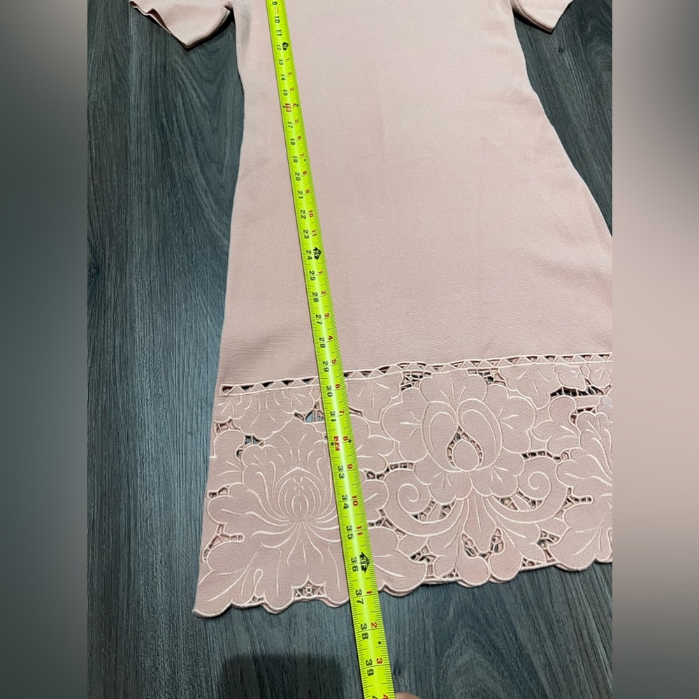 NWT Ann Taylor Dusty Pink Knitted Short Sleeves Embroidered Hem Dress - Picture 4 of 7